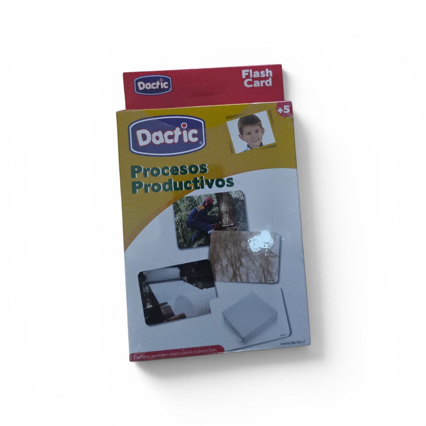 Flash Cards Dactic Procesos Productivos – Ideal para Aprendizaje Didáctico y Educación Infantil